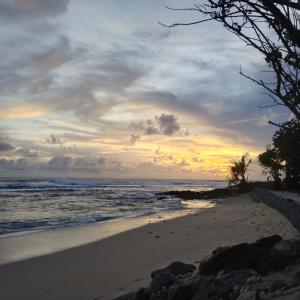 Φωτογραφία από το άλμπουμ του White place σε Ahangama