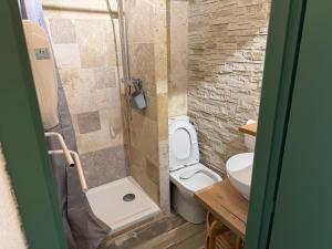 a bathroom with a shower with a toilet and a sink at STUDIO LES JONQUILLES in Les Angles +11 photos