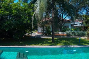 Private Pool Villa in Thodupuzha- Heliconia Inn في Thodupuzha: بيت فيه نخله ومسبح