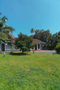 Private Pool Villa in Thodupuzha- Heliconia Inn في Thodupuzha: بيت فيه شجره وسط ساحه