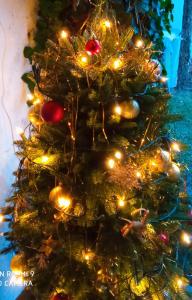 Fotografie z fotogalerie ubytování Pension Fanlor v destinaci Zubčická Lhotka