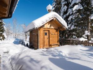 a wooden out house with snow on top of it at Chalet Steinbock, St Martin am Tennengebirge in Sankt Martin am Tennengebirge