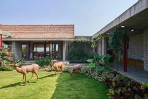 Άλλα ζώα σε αυτή η βίλα ή στη γύρω περιοχή