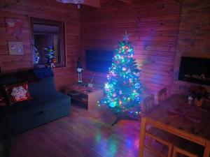 a living room with a christmas tree in a room at Domki Bursztyn in Święta Katarzyna
