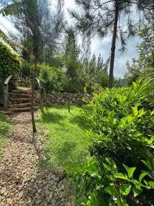 un jardín con árboles y una pared de piedra en Teryet Safari Lodge, en Kapchorwa 25 fotos más