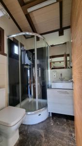 カラブルンにあるayı balığı koyuのシャワー、トイレ、洗面台を備えたバスルーム +22枚の写真