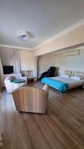 カラブルンにあるayı balığı koyuのベッドとソファのあるホテルの部屋