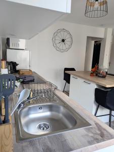 een keuken met een roestvrijstalen gootsteen bij ERA - Optional parking in Romans-sur-Isère