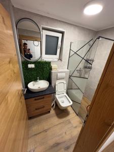 un hombre tomando una foto de un baño con espejo en SkyLux Vlašić, en Šišava