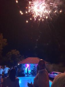 Imagine din galeria proprietății Vila Dolina Mira pored Jerme în Gradište +21 fotografii