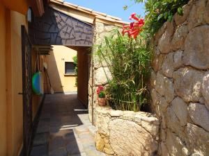 a stone wall next to a building with flowers at Les Voiles in Pinarellu +27 photos