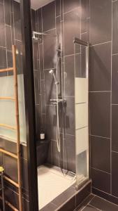 a shower with a glass door in a bathroom at Bartissol et Maillol in Perpignan