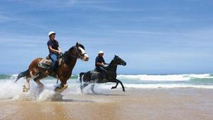 two people are riding horses on the beach at Pacific Blue Poolside Escape - Oaks Port Stephens Pacific Blue Resort in Salamander Bay