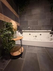 a bathroom with a tub and a plant and a table at NAR Royalton Deluxe Apartment #74 in Niš +6 photos