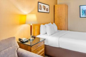 Photo de la galerie de l'établissement Comfort Inn, à Pembroke 25 autres photos