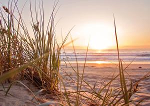 The Beach House! Just Steps from the Beach & Attractions - Perfect for Couples & Family Stays with Private Parking, Large Garden & Fast Free WiFi - The Perfect Seaside Getaway to Sutton on Sea في ساتون أون سي: غروب الشمس على الشاطئ مع وجود عشب في الرمال