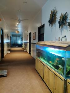 Μια τηλεόραση ή/και κέντρο ψυχαγωγίας στο Primrose Hotel