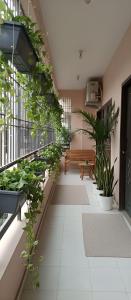 einen Flur mit Pflanzen an der Seite eines Gebäudes in der Unterkunft Geeta's Luxuria in Varanasi