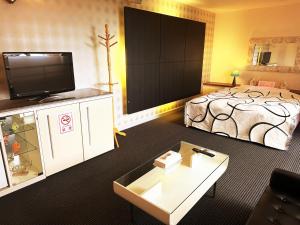 TV a/nebo společenská místnost v ubytování 伊香保の星空