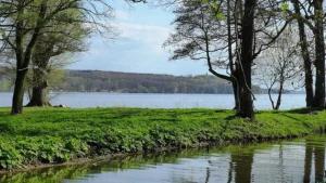 Φυσικό τοπίο κοντά σε αυτό το δωμάτιο σε οικογενειακή κατοικία