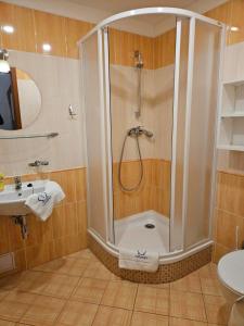 a bathroom with a shower and a sink at Marianum JL,s.r.o. in Janske Lazne