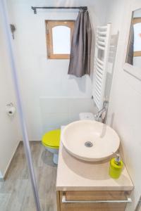 ein Badezimmer mit Waschbecken und Toilette in der Unterkunft Appartement avec Jardin in Gerzat + 26 Fotos