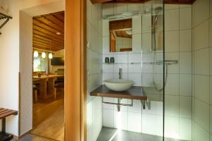 シュルンスにあるTiny Homes Schrunsの洗面台とガラスのシャワーを備えたバスルーム