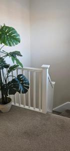 Hart's Place في Broughton Astley: زرع في وعاء بجانب درج