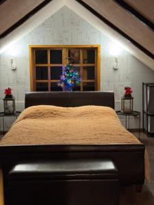 陶格夫匹尔斯Guest house ''Stropiki'' with Sauna and hot Tub的一间卧室,配有一张床,窗户上有一棵圣诞树