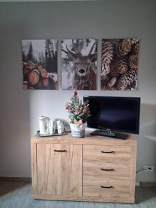 Μια τηλεόραση ή/και κέντρο ψυχαγωγίας στο Agli Chalet Bosco- parcheggio e colonnina ricarica auto elettrica con supplemento