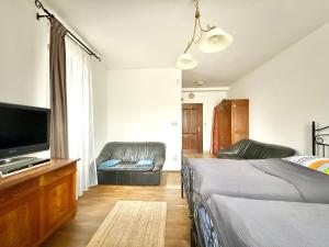 Un dormitorio con dos camas y un televisor y un sofá. en Ubytovanie u martina, en Slovenský Grob