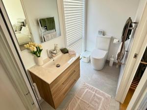a bathroom with a sink and a toilet and a mirror at The Mann Homestay, Premium King Room with Private Ensuite, Near Waihi & Coromandel in Waihi