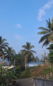 RB Tourist Home في تريفاندروم: اطلالة على شاطئ به نخل والمحيط