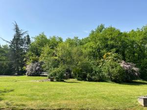 un parque con árboles y césped verde en Gite de la Renardière, en Paunat