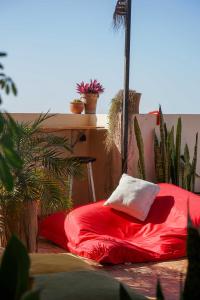 Φωτογραφία από το άλμπουμ του Monkey's Guest House - Ocean View Rooms & Apartment with Rooftop σε Tamraght Ouzdar +13 φωτογραφίες