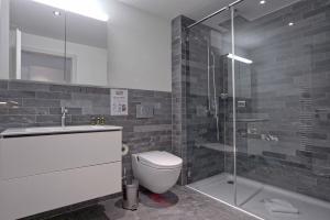 un bagno con wc e doccia in vetro di Apartment JungfrauCenter Brienzersee - GRIWA RENT a Interlaken Altre 6 foto