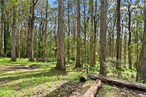 Κήπος έξω από το Tranquill 4BR Retreat