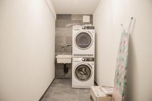 una lavanderia con lavatrice e lavatrice di Apartment JungfrauCenter Brienzersee - GRIWA RENT a Interlaken