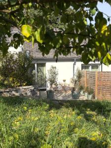 Vườn quanh Naturgartenurlaub in Steffis Ferienwohnungen