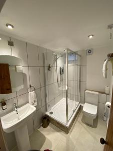Un baño con ducha, inodoro y lavabo. en Brylach Steading, en Aberlour
