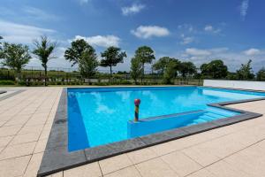 a swimming pool with a red ball in the middle at Group accommodation De Beemster with Sauna | 14 persons in West-Graftdijk