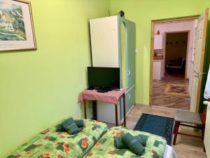 TV a/nebo společenská místnost v ubytování Színes Vendégház Tokaj