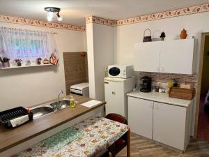 Kuchyň nebo kuchyňský kout v ubytování Színes Vendégház Tokaj + 3 fotografie