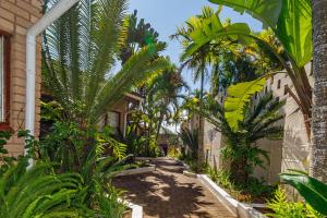 an alley with palm trees and a building at St. Lucia Safari Lodge in St Lucia