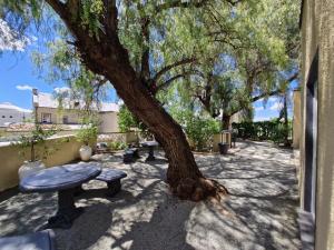 Zahrada ubytování Coniston Villa