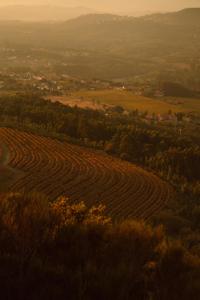 Φυσικό τοπίο κοντά σε αυτό το ξενοδοχείο +66 φωτογραφίες