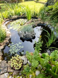 Κήπος έξω από το Chez MariLou