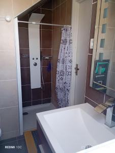 a bathroom with a shower with a sink and a mirror at Belle Maison-St Exupéry- Groupama stadium-Viarhona-T3 in Jons