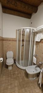 a bathroom with a shower and a toilet and a sink at Agriturismo Cà Del Lupo in Palazzolo sullʼOglio