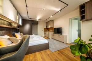 TV a/nebo společenská místnost v ubytování City-House-Achern Studios